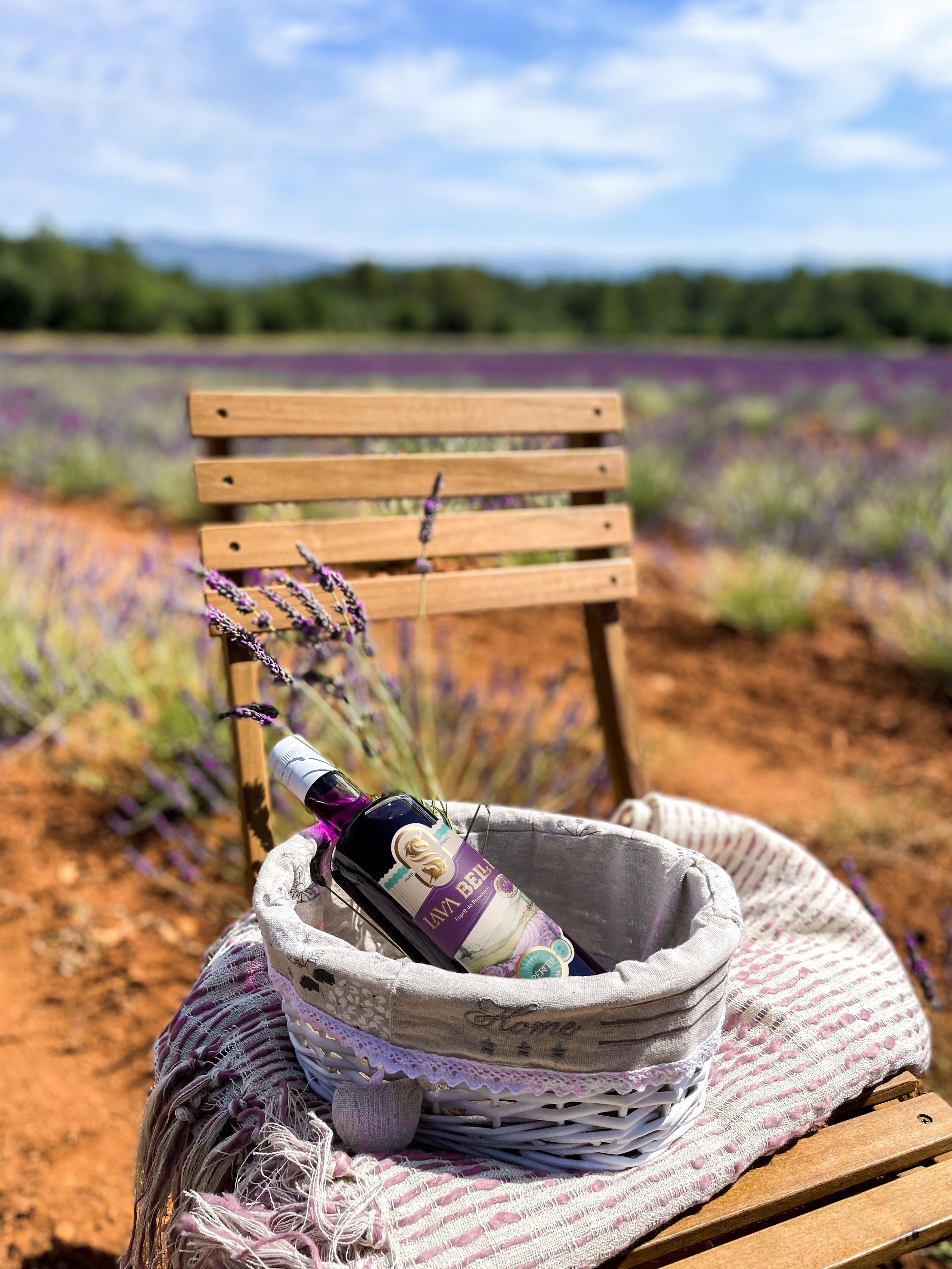 Eine Flasche Lav'a Belle in einem Korb auf einem Stuhl in Mitten eines Lavendelfeldes  kurz vor Ernte in der französischen Provence 